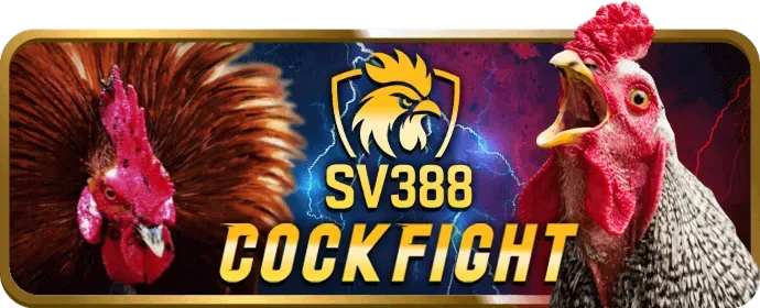 Công nghệ mã hóa SSL tại natra88 casino